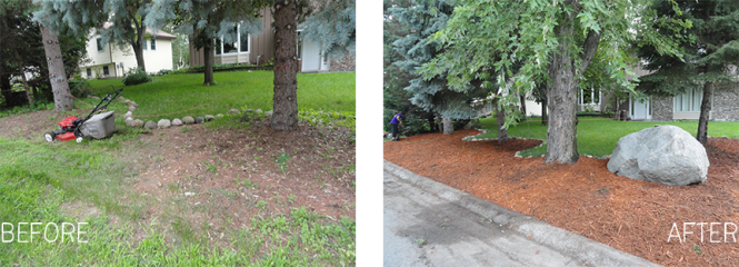 before and after picture mulch