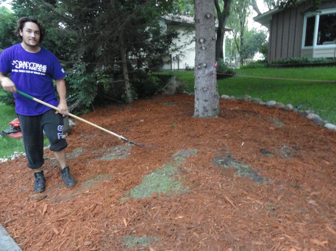 mulching your yard raking