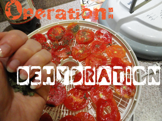 DIY food dehydration