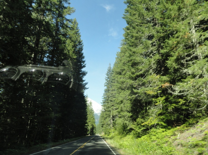 Mt. Rainier drive
